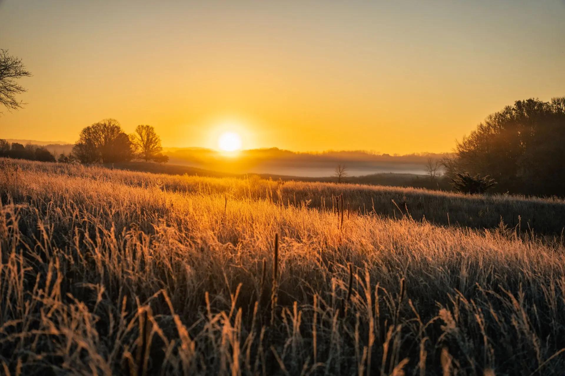 background image nature