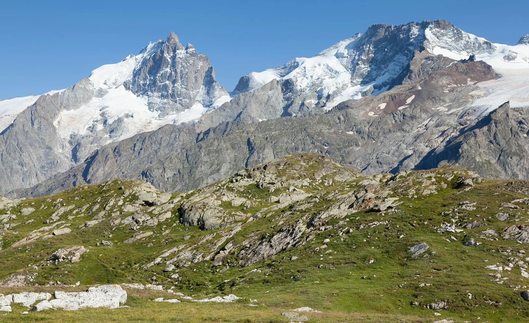 background image nature