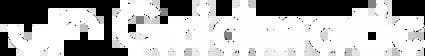 logo-image