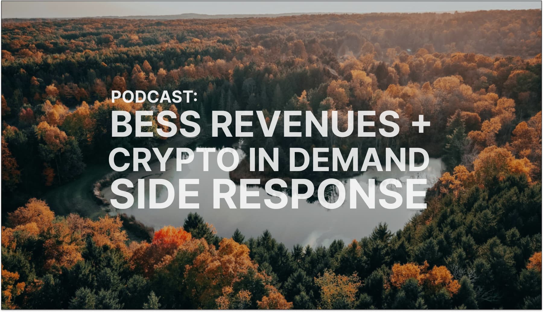 Podcast: BESS markets in the US and Crypto's Surge in Demand Response with Ali Karimian