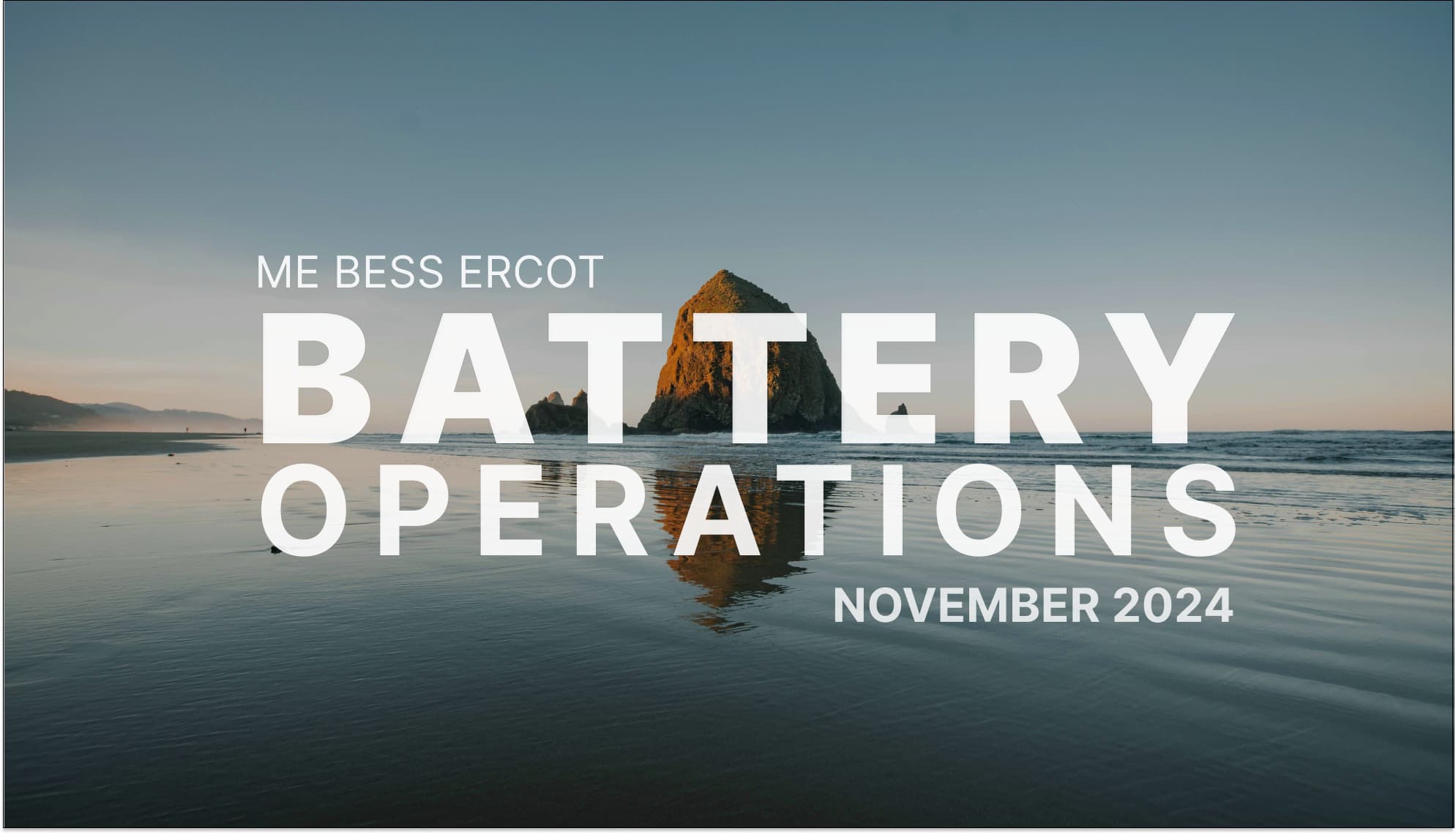 ERCOT Battery Operations: Which strategies earned the highest revenues in November 2024?