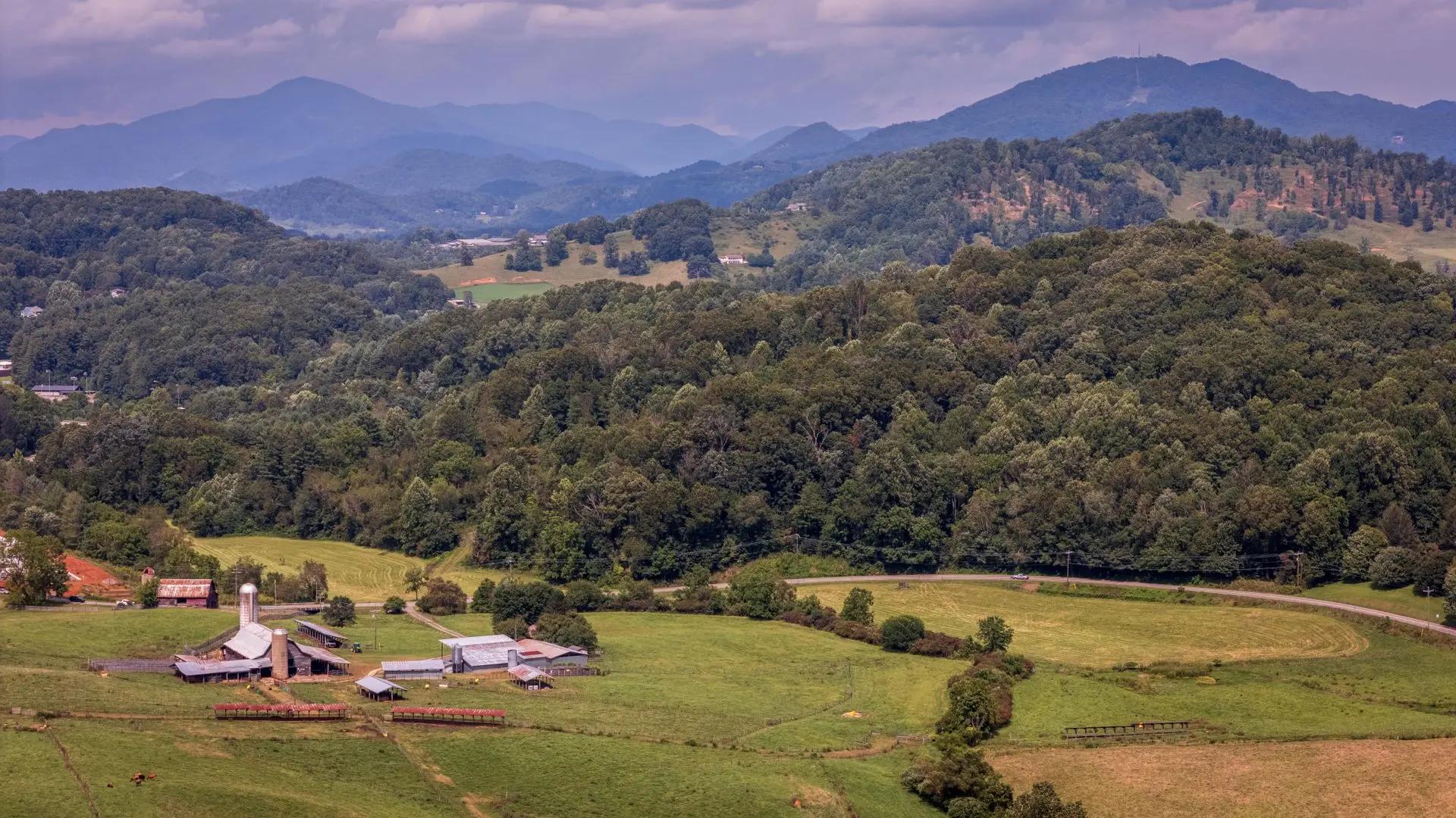 background image nature