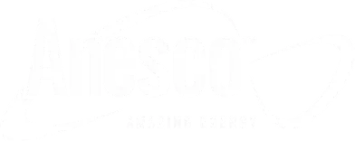 Anesco logo
