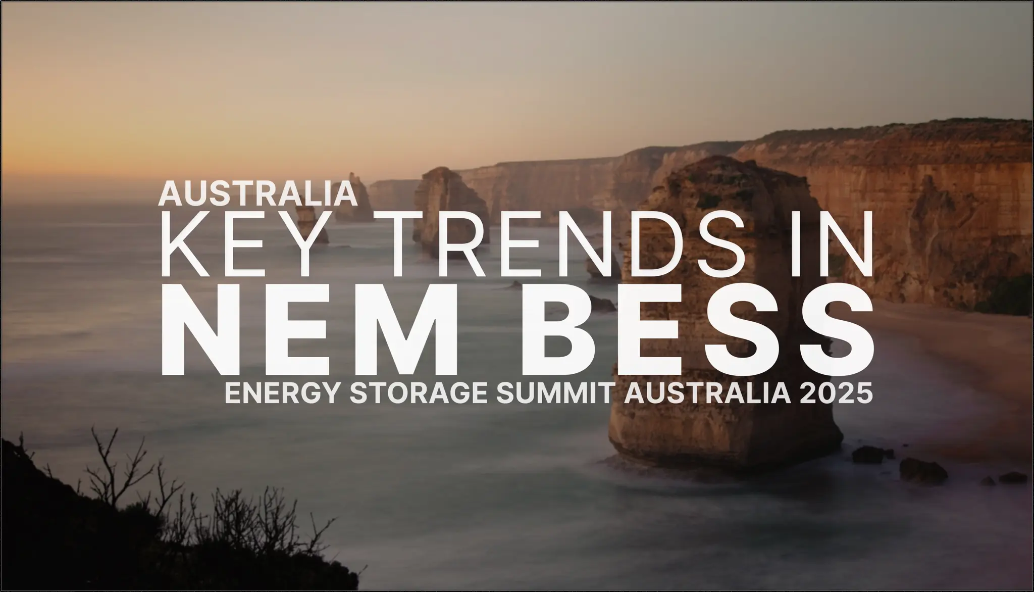 Battery energy storage in the NEM: Key trends in 2025