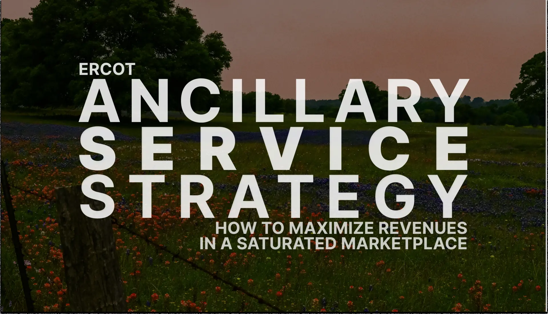 ERCOT: How to maximize revenues across Ancillary Services and Energy