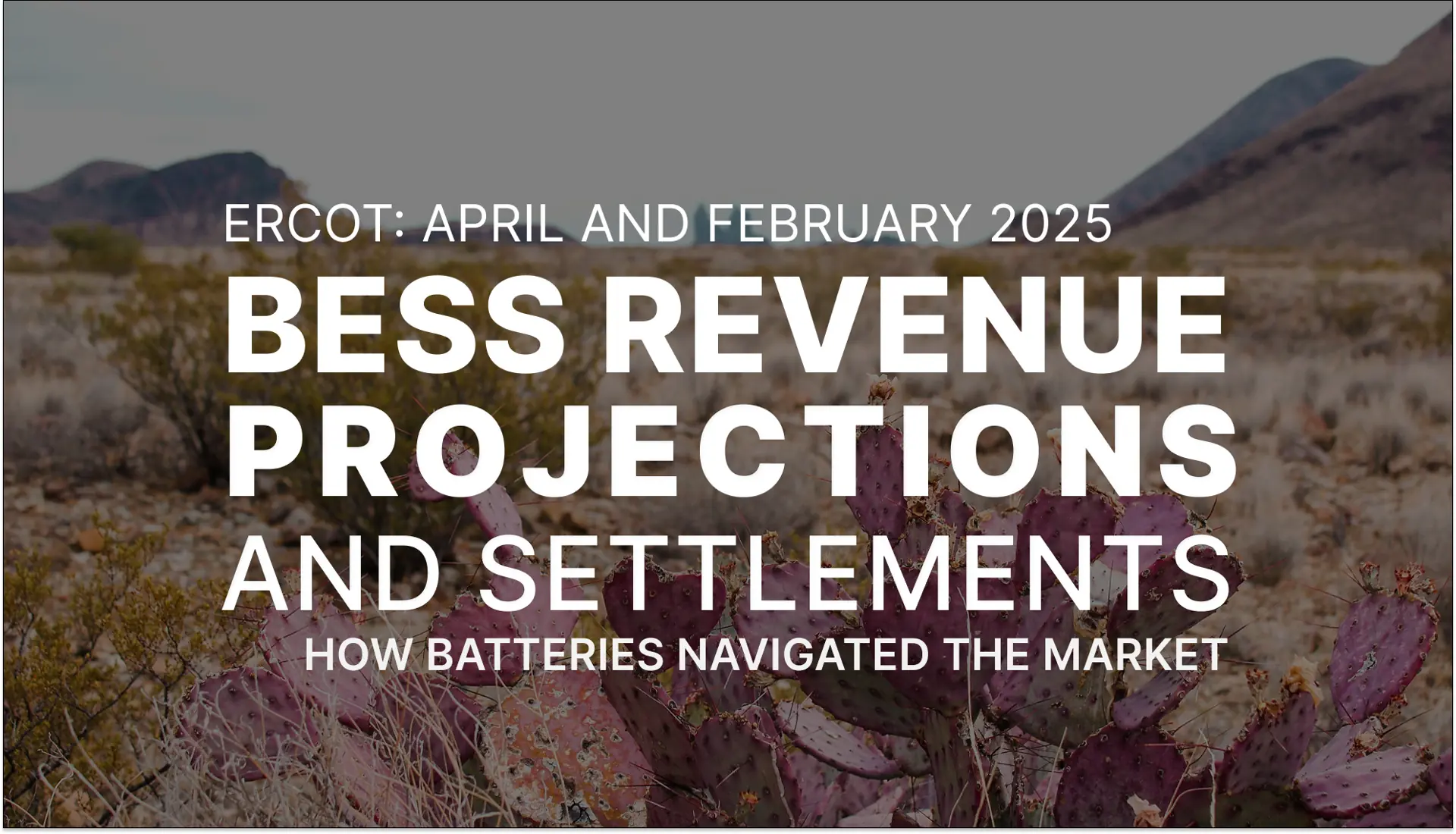 ERCOT: April 2025 revenues expected to fall by 65%