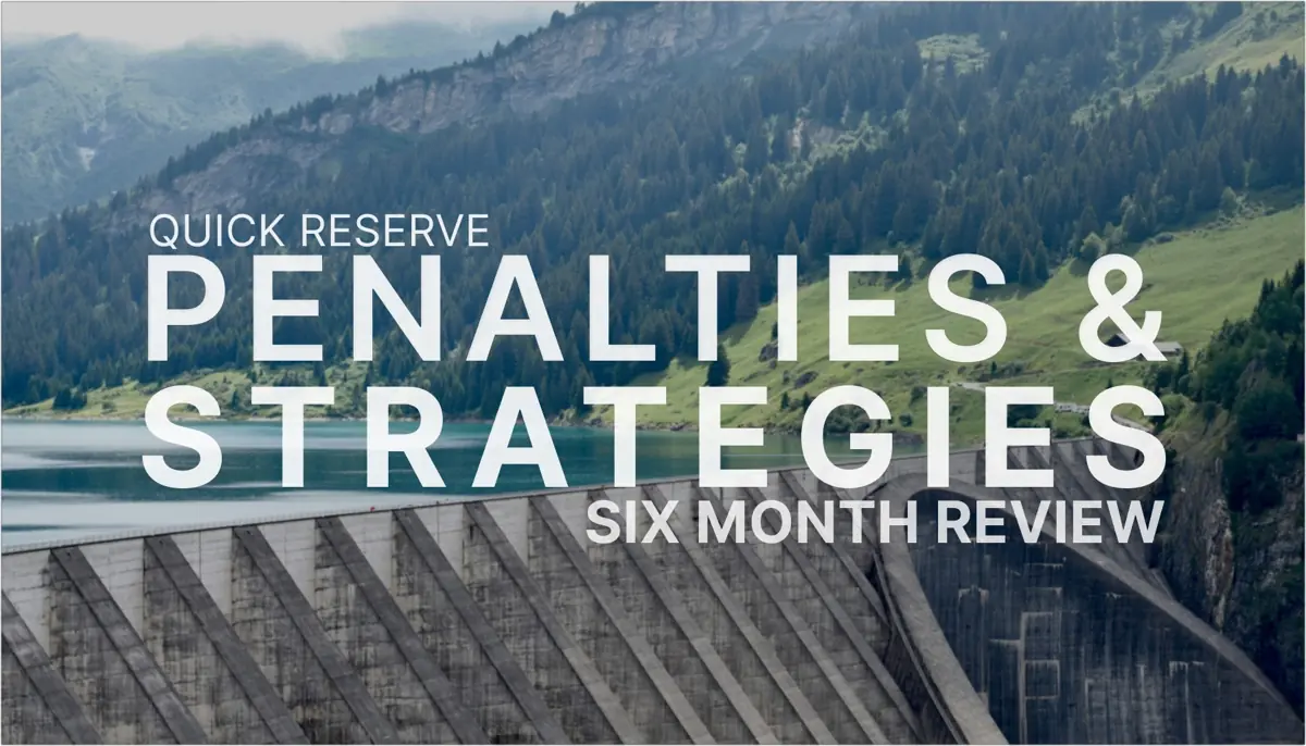Quick Reserve: How the top batteries maximise revenues